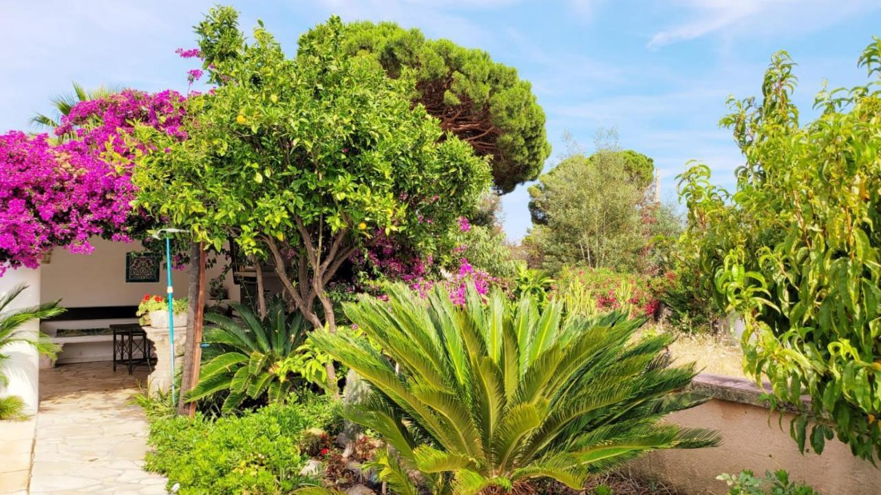 Villa Provencale A Sainte Maxime, Golf De Saint Tropez 외부 사진